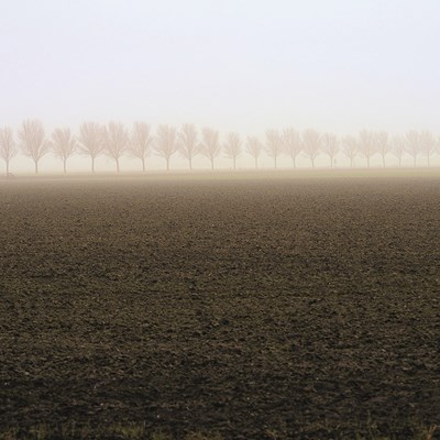 photo: Matthieu Verhoeven
