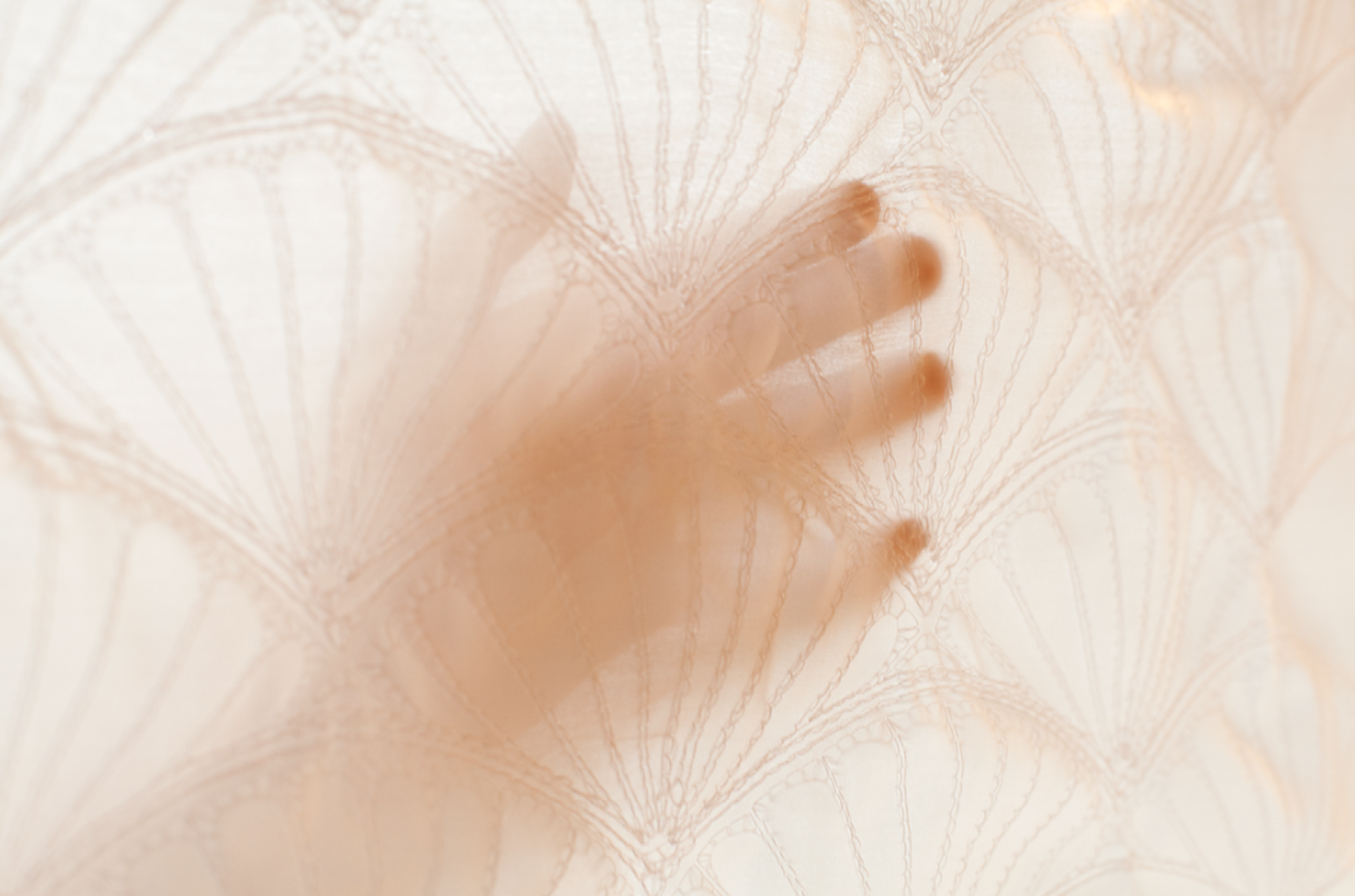web-giulia-cosenza-gc_picture1.png
